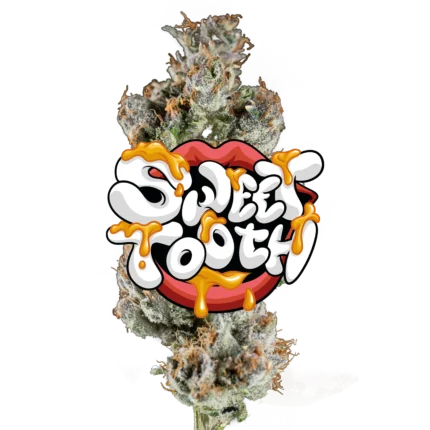 Sweet Tooth Jeeter infused pre-roll crafted with premium indoor cannabis flower, layered with kief for enhanced potency, sweet flavor notes, and a smooth, slow burn.